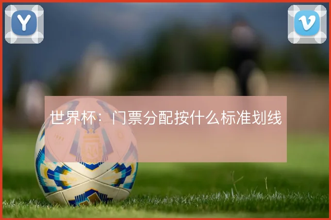 世界杯：门票分配按什么标准划线